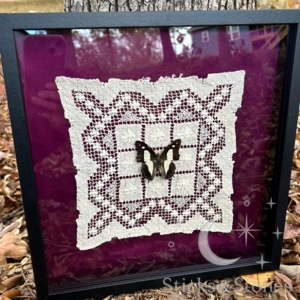 Framed Common Nawab Butterfly