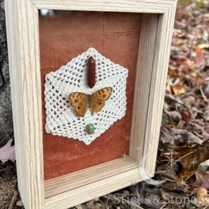 Framed Peacock Pansy Butterfly