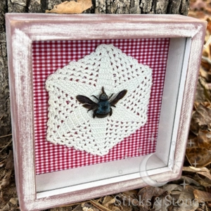 Framed Blue Carpenter Bee