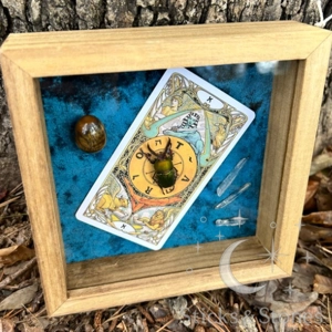 Framed Tarot Sawtooth Beetle