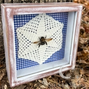 Framed Yellow Carpenter Bee