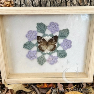 Framed Lacewing Butterfly