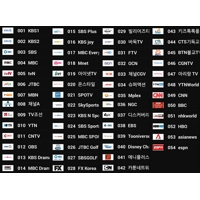 Korean BoraTV VOD 60CH