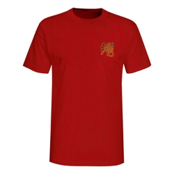 Acomb Primary School Team-coloured Sports T-shirt