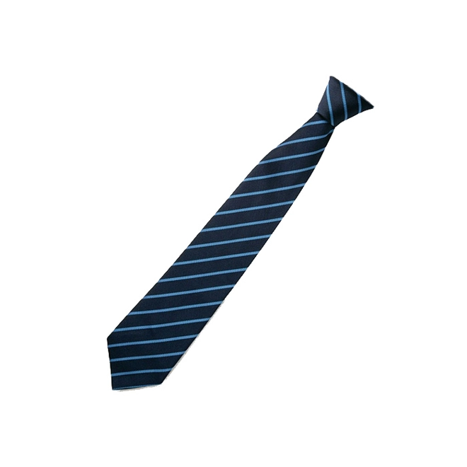 product Image for Denaby Main Primary School Tie, Navy/sky stripe