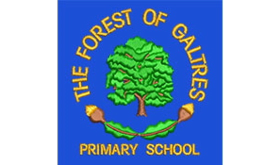 Category Image for Forest of Galtres Anglican Methodist Primary School