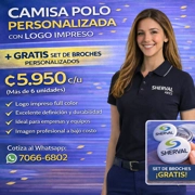 Camisa Polo Logo Impreso Personalizado (set 6 unidades)
