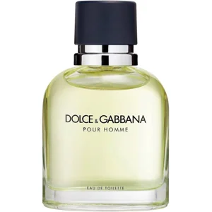 Dolce & Gabbana Pour Homme toaletná voda sprej 75ml EDT (3423473020783)