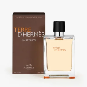 TERRE D'HERMÈS eau de toilette spray 100 ml