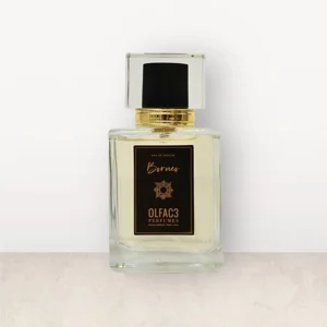Olfa3 Bali Natural Parfume 
