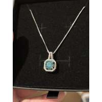 Sterling Silver Chain & PT950 Platinum Moissanite Pendant Necklace