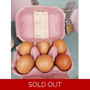 1/2 Dozen Brown Eggs