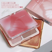 Sweet Mint four-color repair plate matte