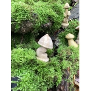 Wavy stem: mushroom sculpture