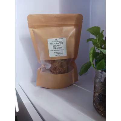 2oz Wild Crafted Organic Sea Moss