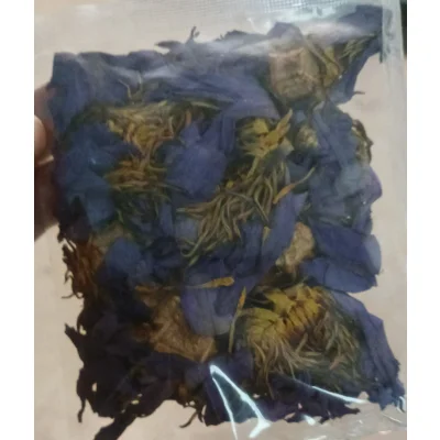 Blue Lotus Flower
