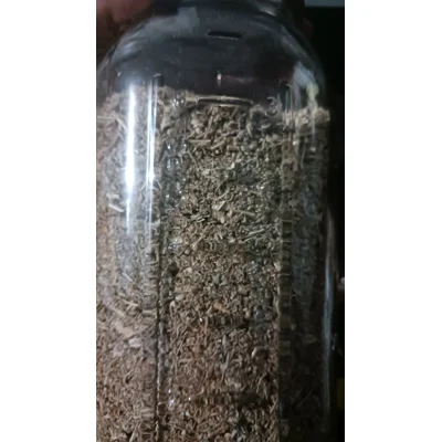 1oz Wormwood Herb Organic Cut & sifted