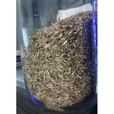 1oz Hyssop Herb Organic