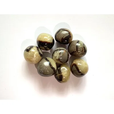 Septarian Polished Tumb..