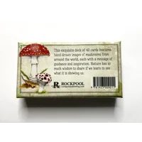 Mushroom pocket size Affirmation cards