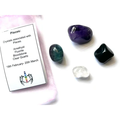 Pisces star sign Crystal gift bag