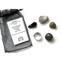 Scorpio star sign Crystal gift bag