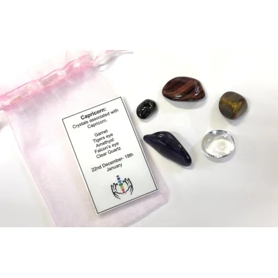 Capricorn star sign Crystal gift bag