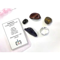 Capricorn star sign Crystal gift bag