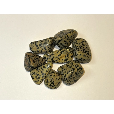 Dalmatian Jasper polished tumble stone