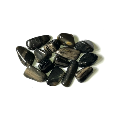 Black petrified wood polished tumble stone