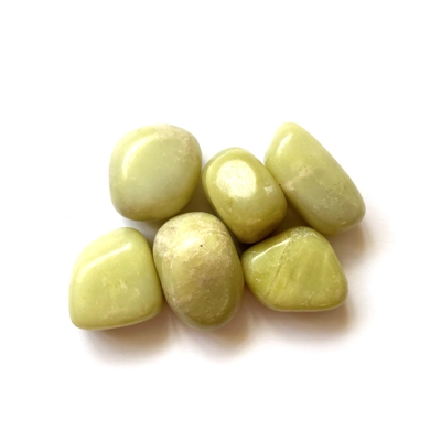 Septarian polished tumble stone