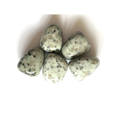 Kiwi Jasper Polished Tumble Stone