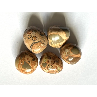 Leopardite polished tumble stone