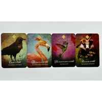 The Spirit Animal Pocket Size Oracle Card Deck by Colette Baron-Reid