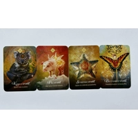 The Spirit Animal Pocket Size Oracle Card Deck by Colette Baron-Reid