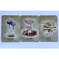 Mushroom Spirit Oracle Card Deck by Nicola McIntosh