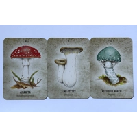 Mushroom Spirit Oracle Card Deck by Nicola McIntosh