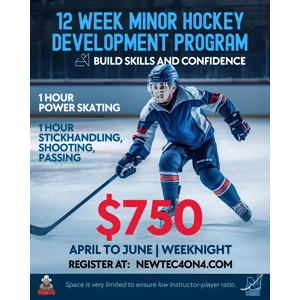 Spring Skating and Skills Development