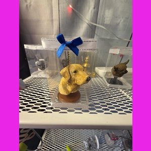 Labvrador Wobble-head