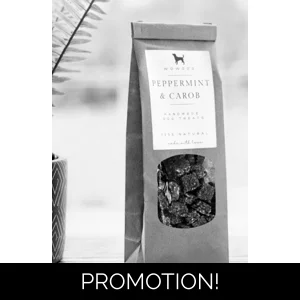 Peppermint and carob mini morsels