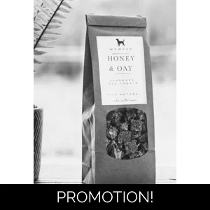 Honey and oat mini morsels