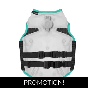 Cooling vest