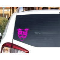 Show Me Your Pitties