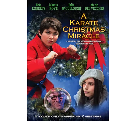 A Karate Christmas Miracle (2019)