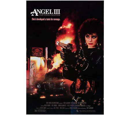 Angel III - The Final Chapter (1988)