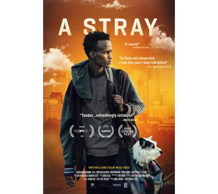 A Stray (2016)