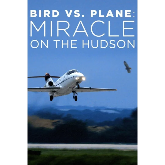 Bird vs. Plane - Miracle On The Hudson (2018)