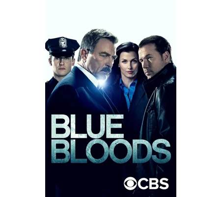Blue Bloods - Season 9 (2010) 8 DVD Set 22 Episodes