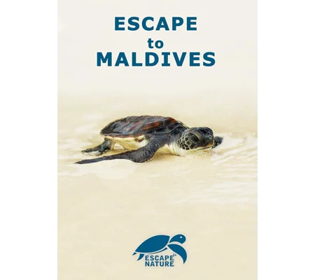 Escape To Maldives (2015)