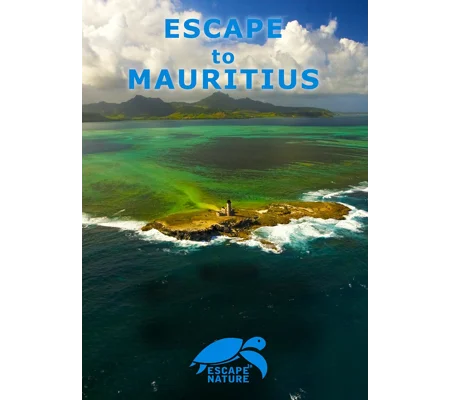 Escape To Mauritius (2009)